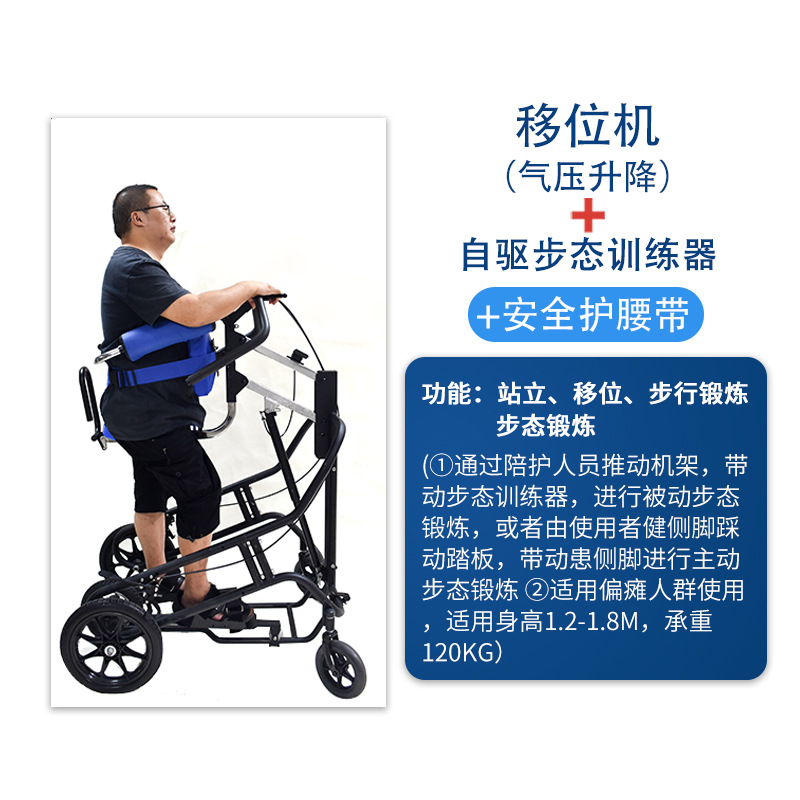 Lift (air pressure lift) + self-propelled gait trainer + safety belt