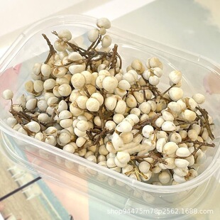 ������M��С�׹�diy���ϸɻ���Ȼֲ��ɹ������b[���Ĕz����