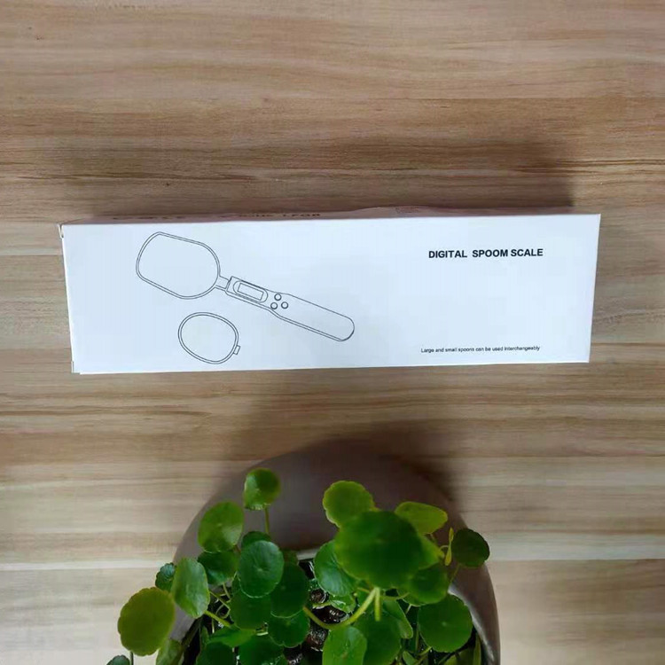 2021 nueva escala de cuchara de joyería escala de oro cuchara escala 500g / 0.1g