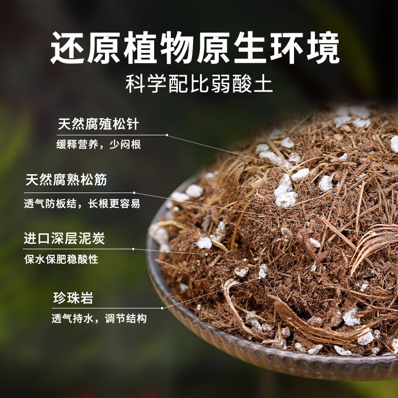 Pine Needle Humus Soil, Natural Green Plant Decomposed Leaves, Decomposed Clivia Peat, Nutrient Soil, Special-Purpose for Flower Cultivation, General Type