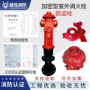 Yinglong Fire Ss100 Encrypted Fire Hydrant Dn150 Magnetic Anti-Theft Outdoor Above-Ground Fire Hydrant Anti-Theft Bolt