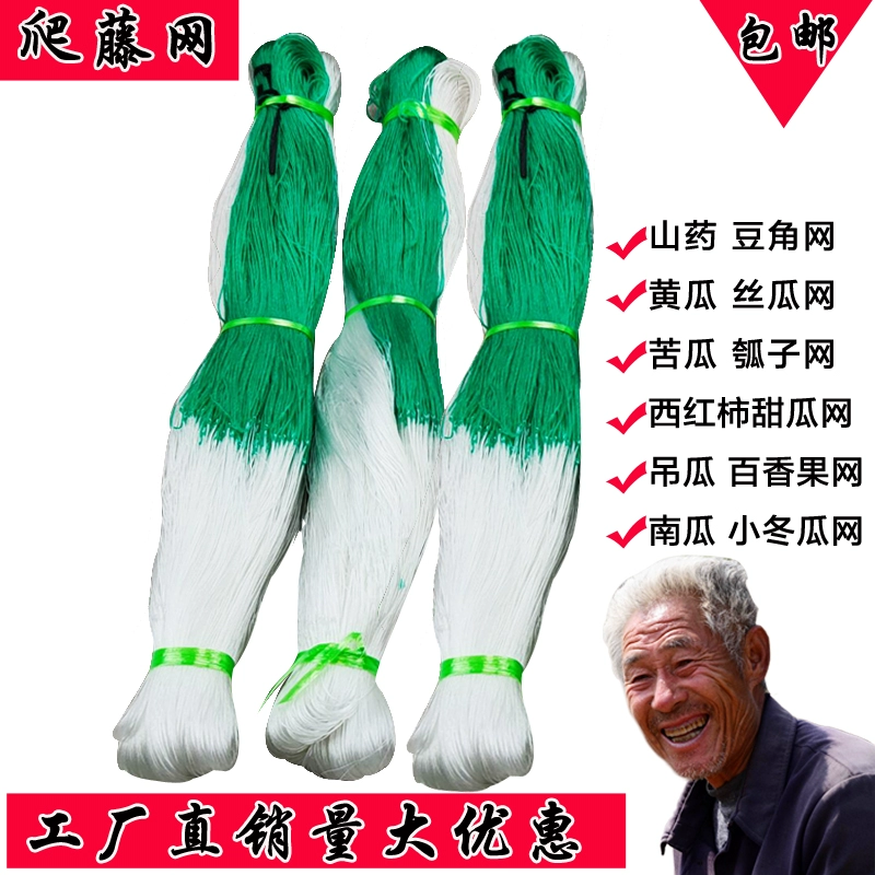 Горькая тыква, висячая тыква, люфа, огурец, фасоль, маракуйя