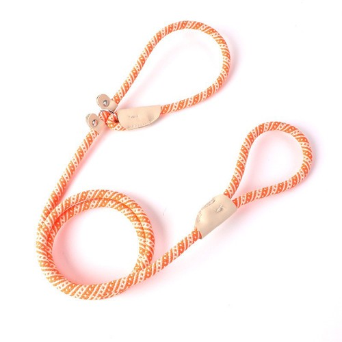 New cross-border pet leash, medium and large dogs, universal safety buckle dog leash P chain, anti-lost dog walking leash