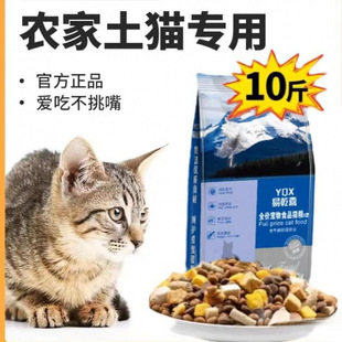 Rural Domestic Cat Food, Economical and Affordable, Specially Designed for Adult Cats and Kittens, Full-Price Fattening and Gill Nutrition