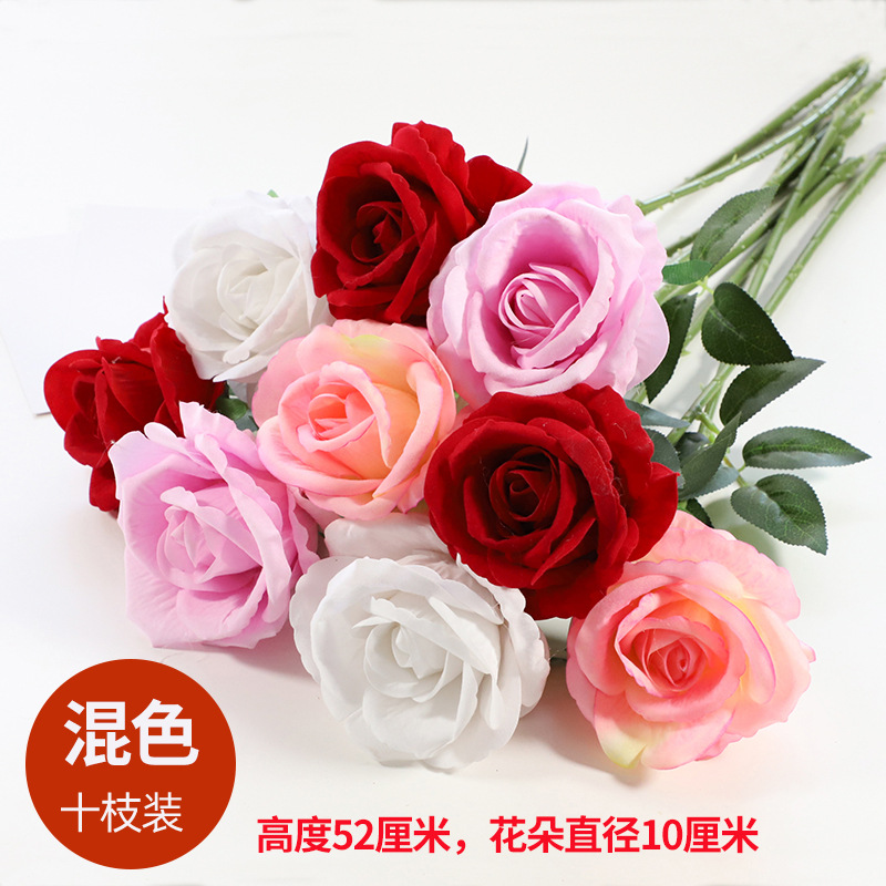 혼합 색상 제국 첩 장미 10 스틱