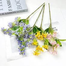 ?����ǧ����ٻ��Wʽ��@�Ҿ��b𻨶��㻨��Y�û�ˇС�[