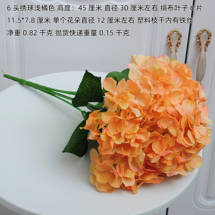 6头绣球浅橘色