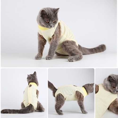Surgical gown for cats, post-operative sterilization clothing, anti-licking and shedding pet apparel, summer universal for cats and dogs, small dog menstrual pants wholesale