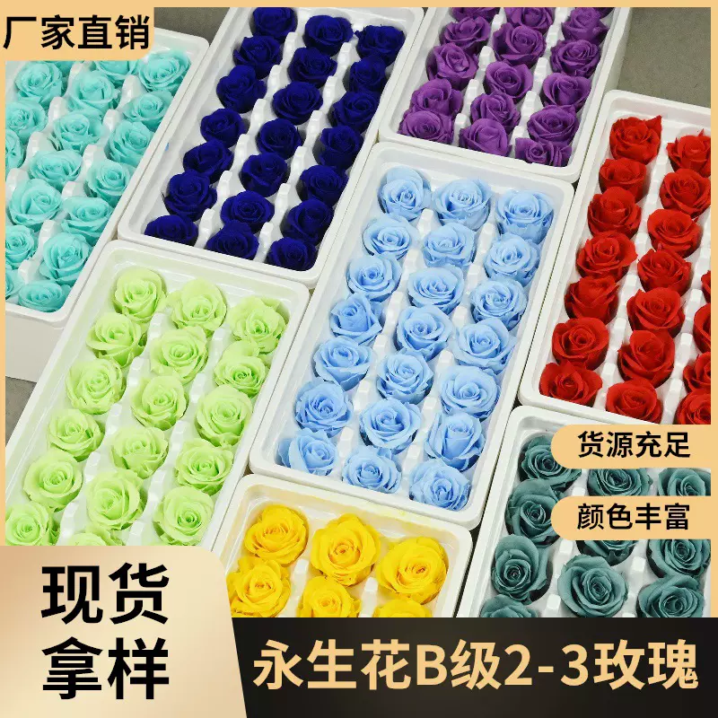 幻花永生花B级2-3玫瑰花材批发干花摩天轮玻璃罩七夕diy花头材料