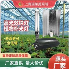 农业绿植温室补光高光效钠灯植物生长灯HPS-600W电子镇流器三件套