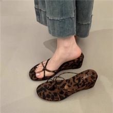 ���¶ֺ�¸��Aֺ������ЬŮ2026���¿�r�з�ʽ�ٴ��⴩�߸�����