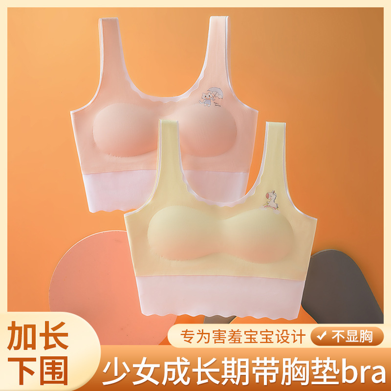 Girls Seamless Bra Girls Vest Wholesale Junior High School Students High School Students Girls Big Children Developmental Children Underwear Girls Seamless Bra Girls Vest Wholesale Junior High School Students High School Students Girls Big Children Developmental Children Underwear