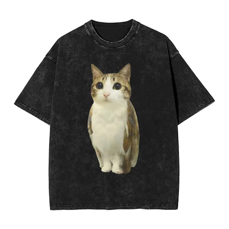 Men's T-Shirt with Funny Large Cat Print, Summer Crew Style, Y2K T-Shirt, Top, Washed and Interesting