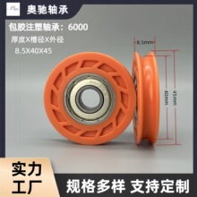 ��������6000����ע����л����Ŵ����������������������
