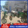 镇压丹参中药材移栽机