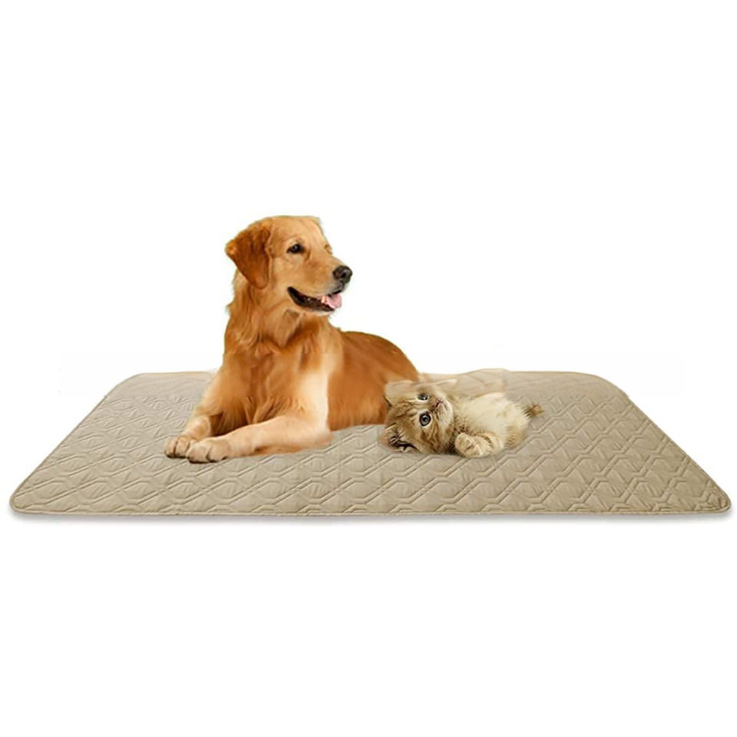 Suministro directo de fábrica Exportación transfronteriza Amazon TPU Alfombrilla impermeable para gatos Alfombrilla para perros Alfombrilla para mascotas