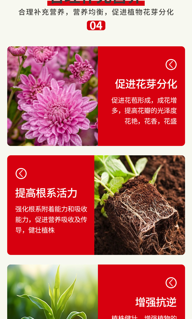 高浓爆花肥2号详情_07.jpg