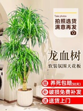 ��Ѫ��͏d�Gֲ���^��횘��҃����Դ�����լ�����ʽ��̖�滨�辰