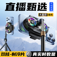 2026�¿�ֱ��ɢ����SL75˫�˰뵼�����侲����������ֻ���������