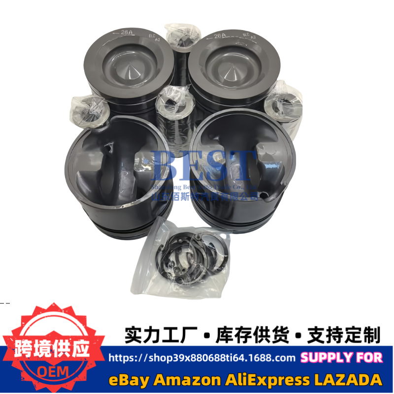 234102F970 Is Suitable for D4Hb2.2Nwe Piston with Pin 234102F980 234102F995