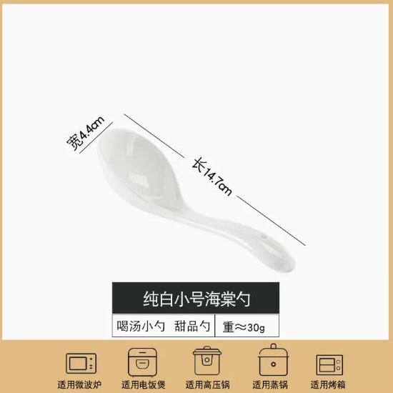 베고니아 스몰 사이즈