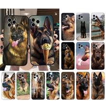 ����ƻ��iPhone17�ֻ��ǵ¹�����Ȯ 2���Ǳ�����iPhone 16 15 14