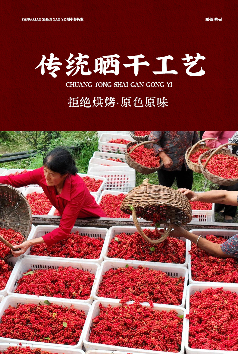 Dried Schisandra Berry Wu Wei Zi 500g Changbai Mountain Herbal Fruit for Tea and Wine Soaking quality and texture