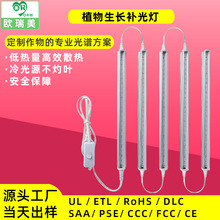 �羳���Nȫ���Vledֲ�����L�������߲�����ˮ��Gֲ�����a�����