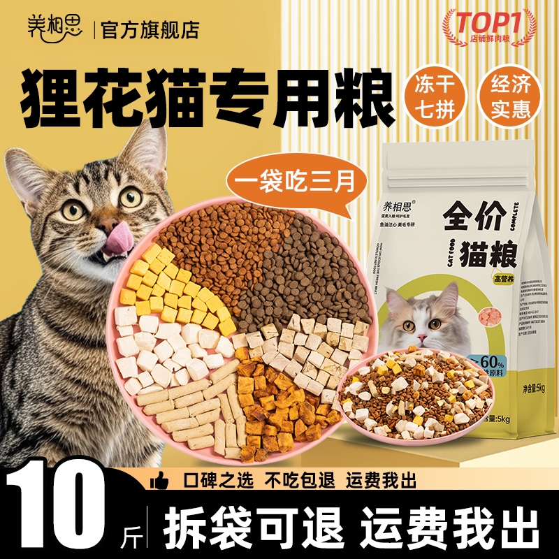 Ragdoll Cat Food Affordable Pack for Kittens and Adult Cats to Gain Weight, Grow Whiskers, Nutrition, and Hair Loss for Stray Cats