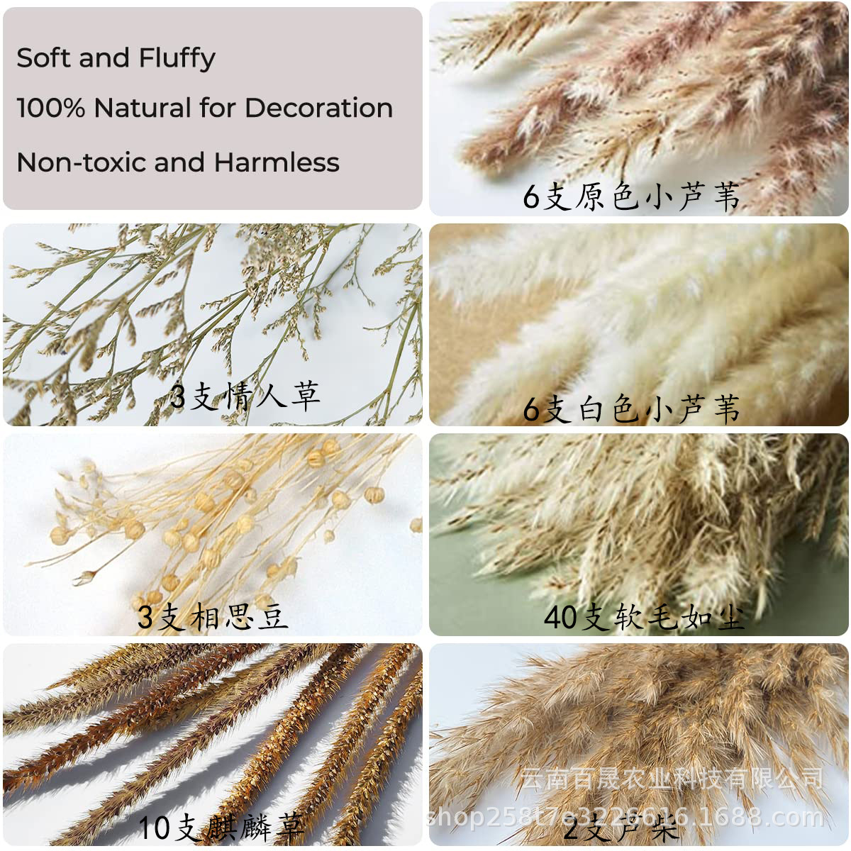 Typ C-02 - 副本.jpg