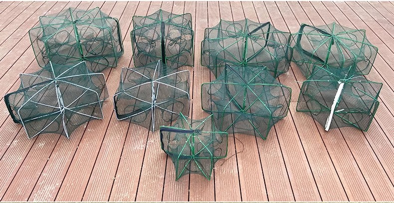 俄罗斯养鱼场四年间取得的稳妥赔付超越15亿卢布