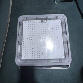 其他专用灯具;防爆灯;投光灯