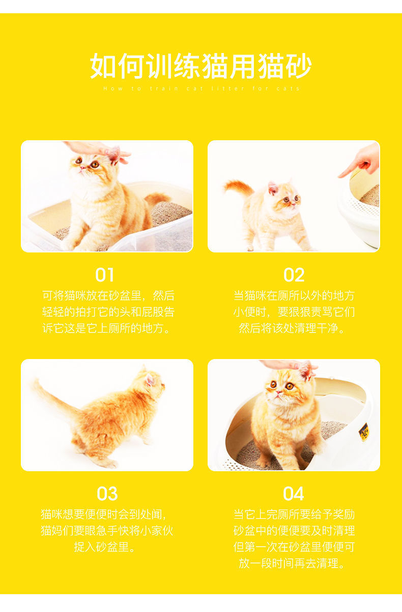 4ab18894-2c82-49b8-aa16-5afa90425bb7.jpe