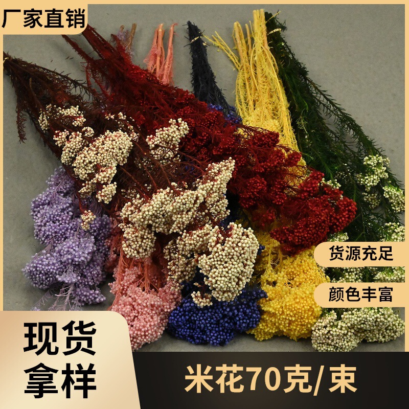 Eternal Flower Rice Flower 80G/Bundle Flower Material Kit Bouquet DIY Valentine's Day Dried Flowers Living Room Decoration Real Flowers