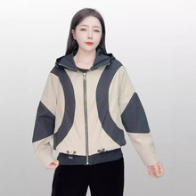 2024hƷƌƴɫe\ӶŮnpgBñ_h