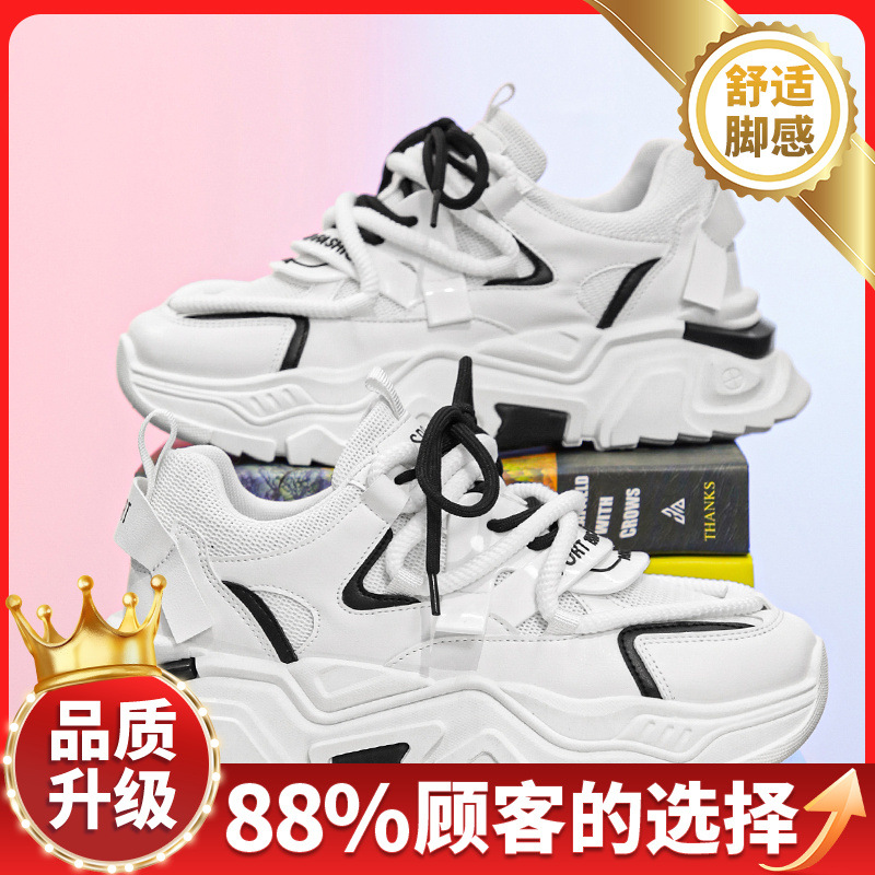 화이트와 블랙 업그레이드 모델