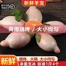 羊蛋新鲜羊腰子冷冻羊睾丸内外腰商用羊球羊卵子烧烤食材清真羊宝