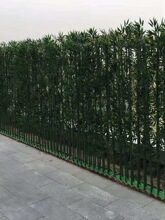 ���������҃��b������L�����쾰����������ë���������ϼ�����