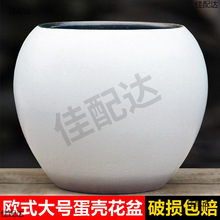 ���⻨���ڏ��߷���Gֲ͸����ռӺ������μ��ݸ������Ϙ�����