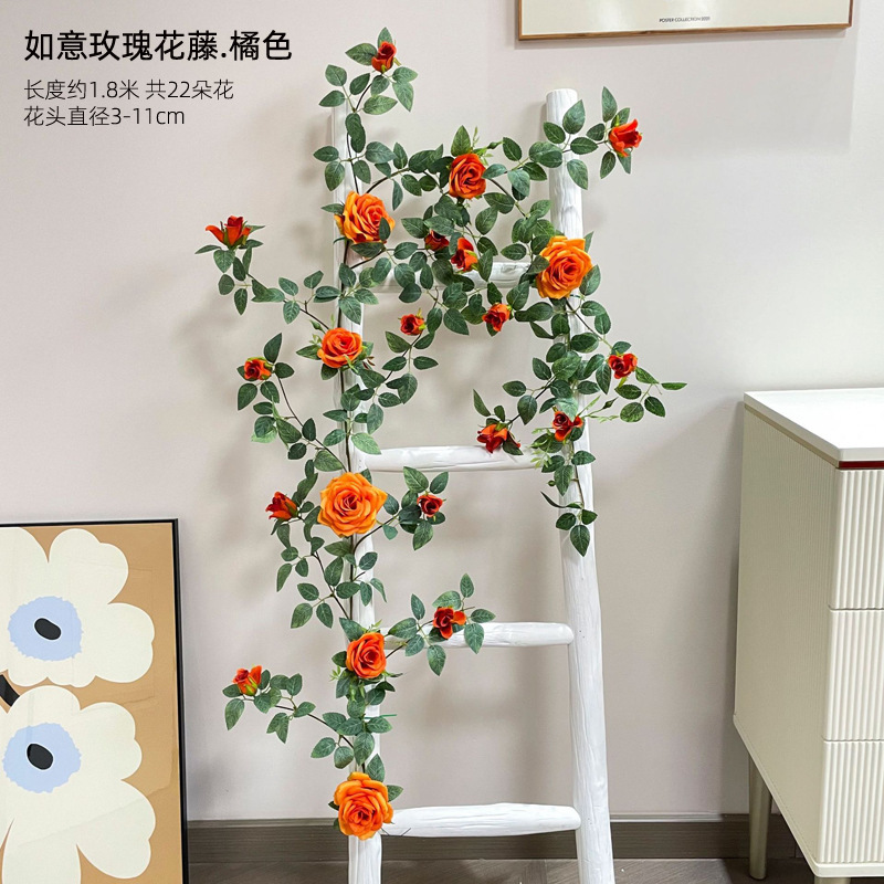 오렌지 장미 꽃 덩굴 1.8 미터