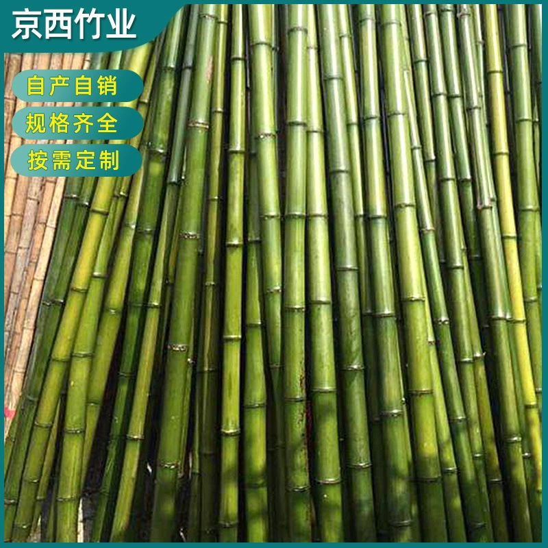 Поставка бамбукового шеста оптом огорода, соевый огурец, томатное садоводство, забор, забор, флагшток, фрукты, восхождение на ротанговую стойку