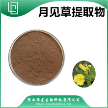 月见草提取物 10:1 比例萃取 月见草粉 陕西绿莱 量大从优 现货