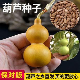 С�ˌ����J��������С������J�N�Ӵ�ȫ�����ش�̖���́������J��