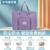 Taro Purple Middle Number [Cable tiders box/dry and wet separation]