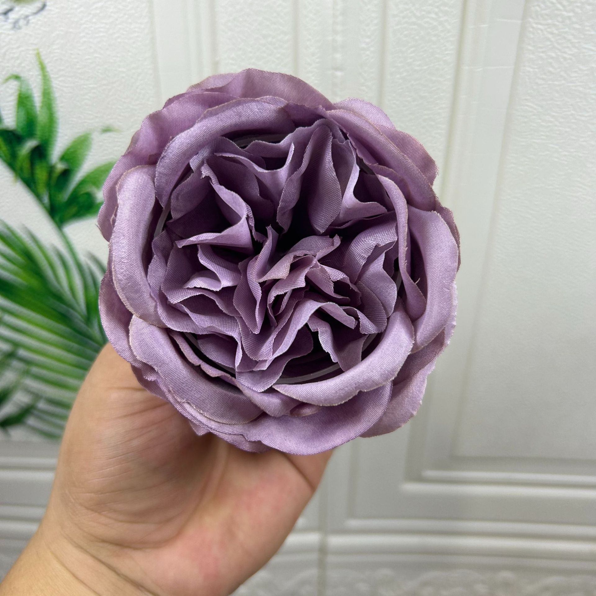 보라