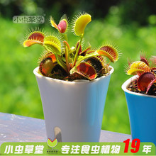 С�x���ò�ω��ֲ������ʳ�x�ݲ��x���i�\��é�����ó���ʳ�˻�