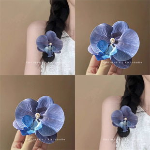 ���ɷՇ��к����m����l�AŮɭϵ��߅����A߅�A���������l���l�A