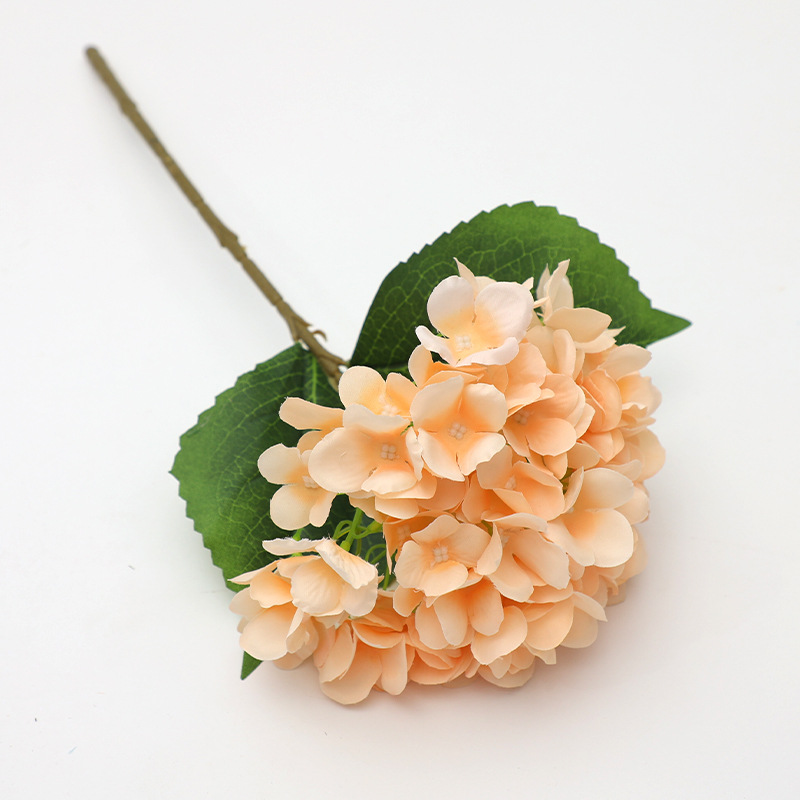 Champagne color