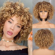 ��ɫ�������С����ըͷ Curly Full Wig ŷ���羳��ó�ٷ�����