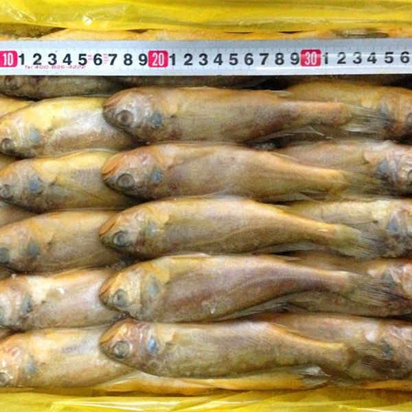 Оптовый замороженный дикий желтый горбыль свежий желтый горбыль коммерческий 5 кг Кейтеринг ингредиенты для барбекю сообщество от имени